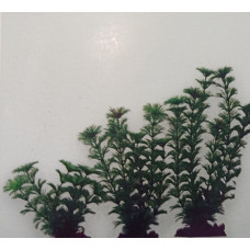 Planta Plástica 10-13Cm Verde